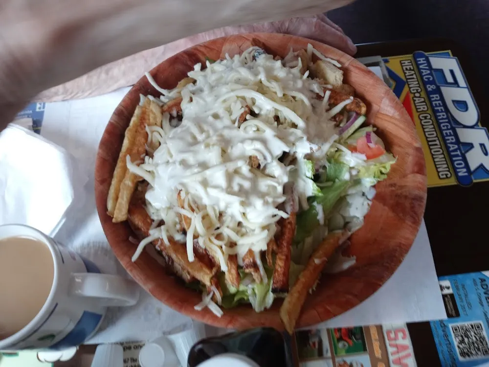 Gyro Salad with Fries